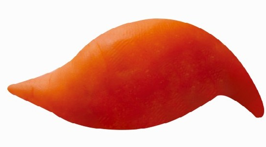 「彩泥制作教程」松鼠