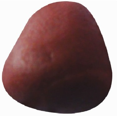 「彩泥制作教程」松鼠