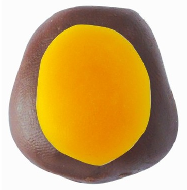 「彩泥制作教程」猩猩插图6 「彩泥制作教程」猩猩