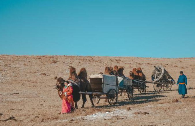 浑善达克沙地——塞外江南、花园沙漠