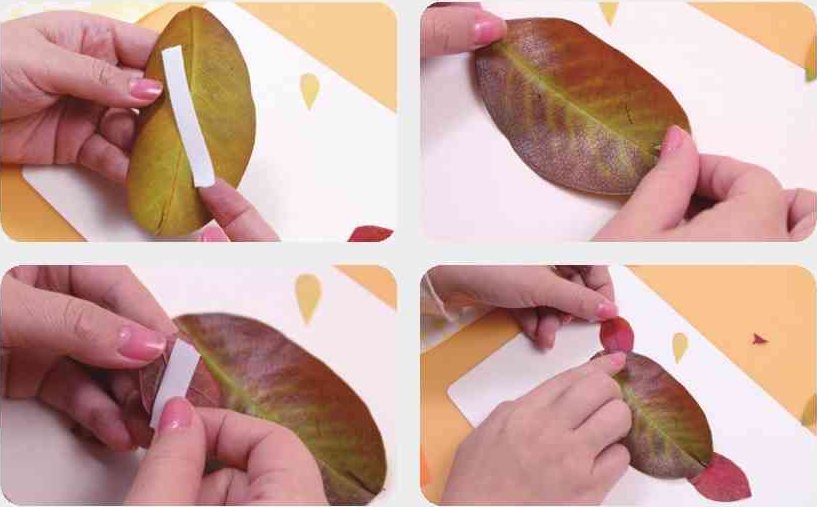 「树叶画手工贴画」大头鸟树叶画的简单做法插图4 「树叶画手工贴画」大头鸟树叶画的简单做法