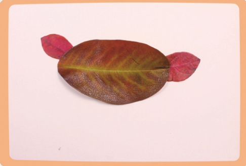 「树叶画手工贴画」大头鸟树叶画的简单做法插图5 「树叶画手工贴画」大头鸟树叶画的简单做法