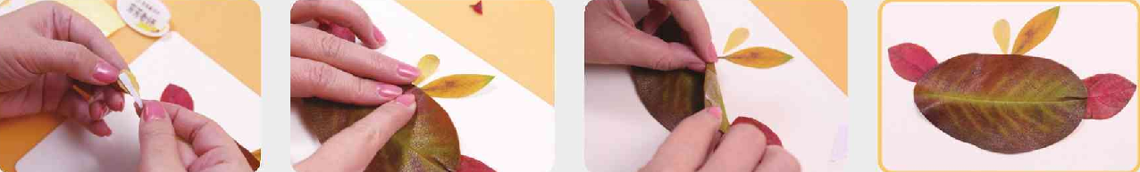「树叶画手工贴画」大头鸟树叶画的简单做法插图6 「树叶画手工贴画」大头鸟树叶画的简单做法