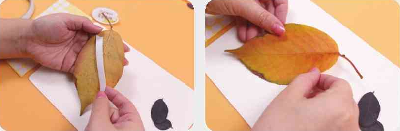 「树叶画手工贴画」滑板小鸟树叶画的简单做法插图2 「树叶画手工贴画」滑板小鸟树叶画的简单做法