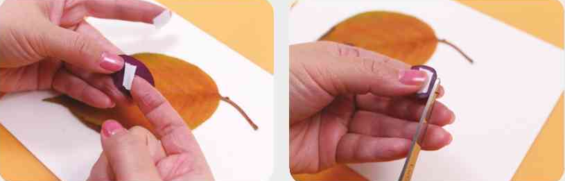 「树叶画手工贴画」滑板小鸟树叶画的简单做法插图3 「树叶画手工贴画」滑板小鸟树叶画的简单做法