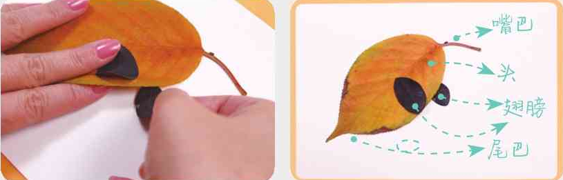 「树叶画手工贴画」滑板小鸟树叶画的简单做法插图4 「树叶画手工贴画」滑板小鸟树叶画的简单做法