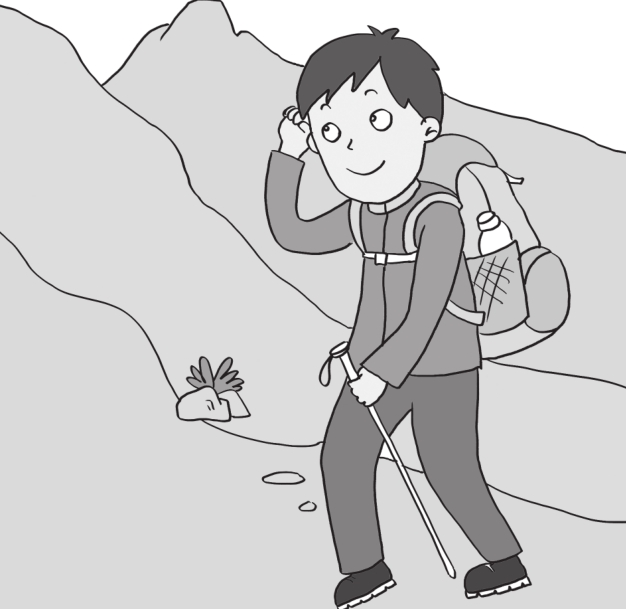 「儿童安全教育知识」登山的安全常识插图1 「儿童安全教育知识」登山的安全常识