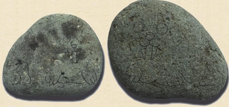 「石头画教程」海豹母子