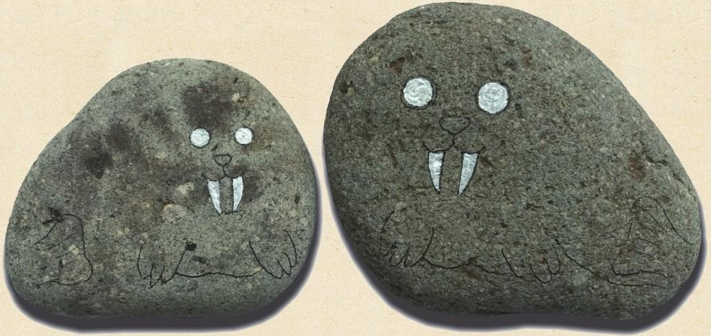 「石头画教程」海豹母子