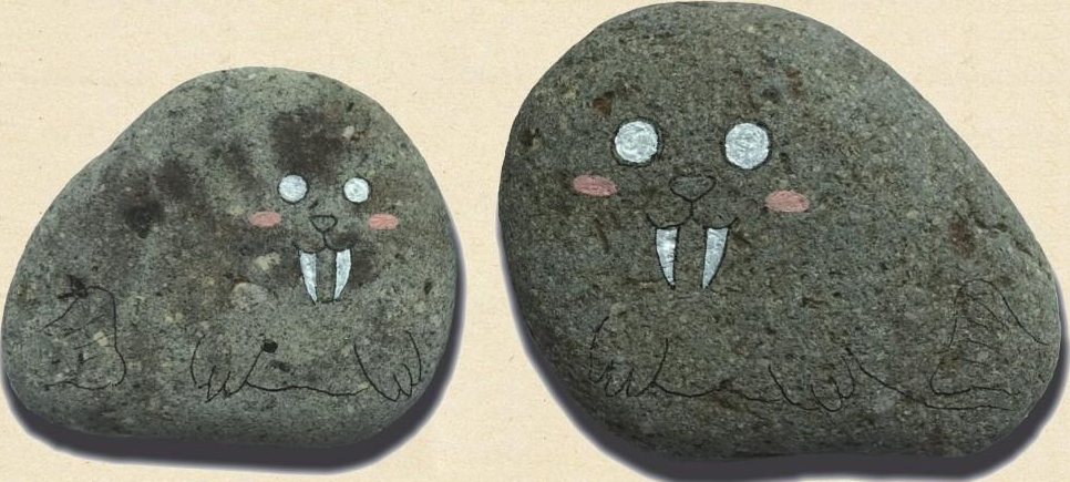 「石头画教程」海豹母子