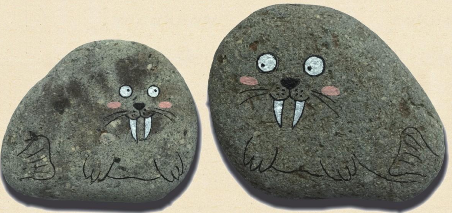 「石头画教程」海豹母子