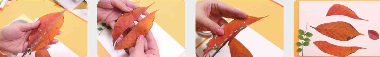 「树叶画手工贴画」采叶筑巢树叶画的简单做法插图2 「树叶画手工贴画」采叶筑巢树叶画的简单做法