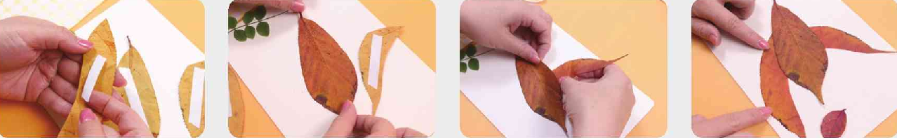「树叶画手工贴画」采叶筑巢树叶画的简单做法插图3 「树叶画手工贴画」采叶筑巢树叶画的简单做法