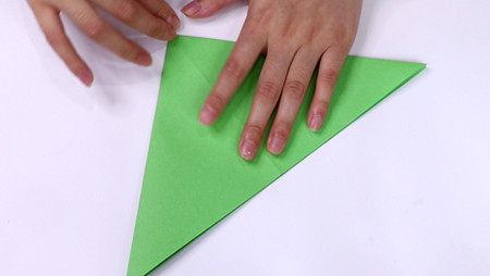 战斗机怎么折?战斗机的折法简单又漂亮(战斗机折纸附图解)插图3 战斗机怎么折?战斗机的折法简单又漂亮(战斗机折纸附图解)