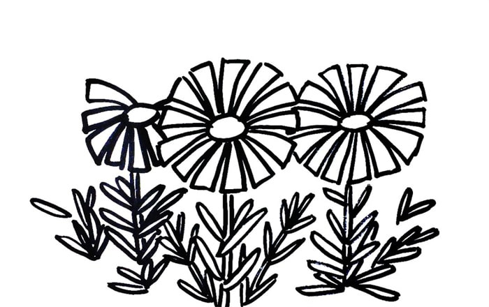 野菊花简笔画怎么画简单又漂亮?野菊花简笔画图片(附详细步骤、教程)插图5 野菊花简笔画怎么画简单又漂亮?野菊花简笔画图片(附详细步骤、教程)