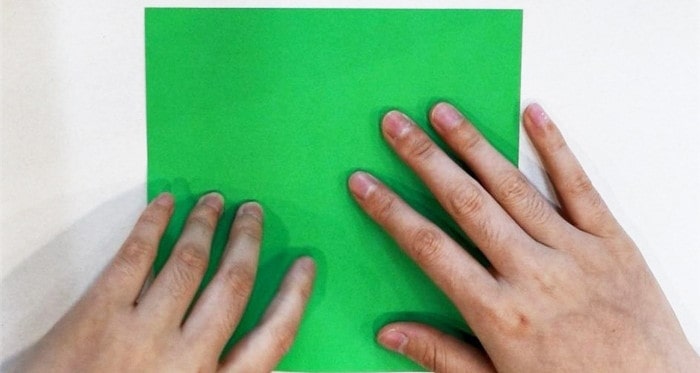 乌龟怎么折?乌龟的折法简单又漂亮(乌龟折纸附图解)插图1 乌龟怎么折?乌龟的折法简单又漂亮(乌龟折纸附图解)