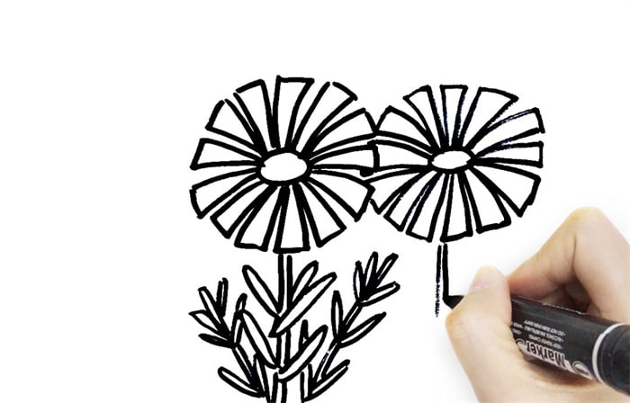 野菊花简笔画怎么画简单又漂亮?野菊花简笔画图片(附详细步骤、教程)插图4 野菊花简笔画怎么画简单又漂亮?野菊花简笔画图片(附详细步骤、教程)