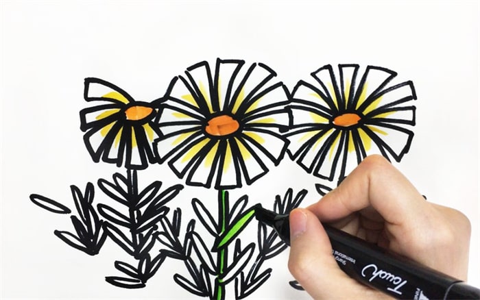 野菊花简笔画怎么画简单又漂亮?野菊花简笔画图片(附详细步骤、教程)插图7 野菊花简笔画怎么画简单又漂亮?野菊花简笔画图片(附详细步骤、教程)