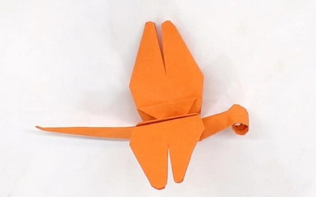 纸蜻蜓怎么折？蜻蜓的折法简单又漂亮（蜻蜓折纸附图解）