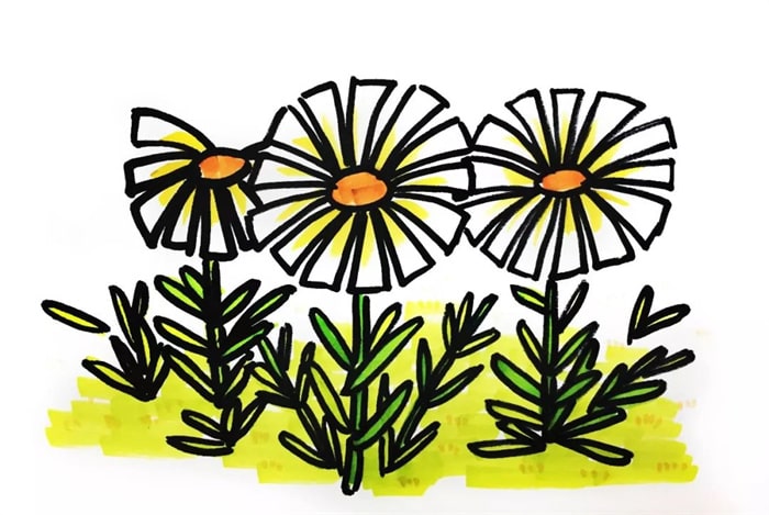 野菊花简笔画怎么画简单又漂亮?野菊花简笔画图片(附详细步骤、教程)插图 野菊花简笔画怎么画简单又漂亮?野菊花简笔画图片(附详细步骤、教程)