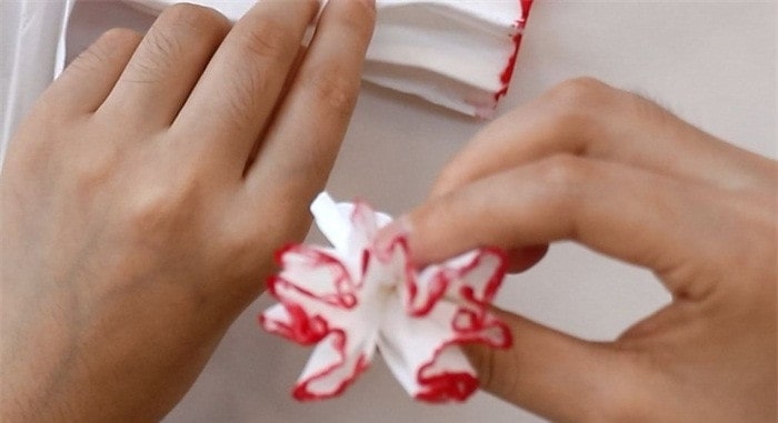 餐巾纸康乃馨怎么折?康乃馨的折法简单又漂亮(康乃馨折纸附图解)插图5 餐巾纸康乃馨怎么折?康乃馨的折法简单又漂亮(康乃馨折纸附图解)