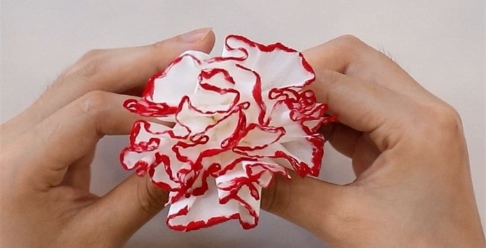 餐巾纸康乃馨怎么折?康乃馨的折法简单又漂亮(康乃馨折纸附图解)插图8 餐巾纸康乃馨怎么折?康乃馨的折法简单又漂亮(康乃馨折纸附图解)