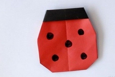 七星瓢虫怎么折?七星瓢虫的折法简单又漂亮(七星瓢虫折纸附图解)插图6 七星瓢虫怎么折?七星瓢虫的折法简单又漂亮(七星瓢虫折纸附图解)