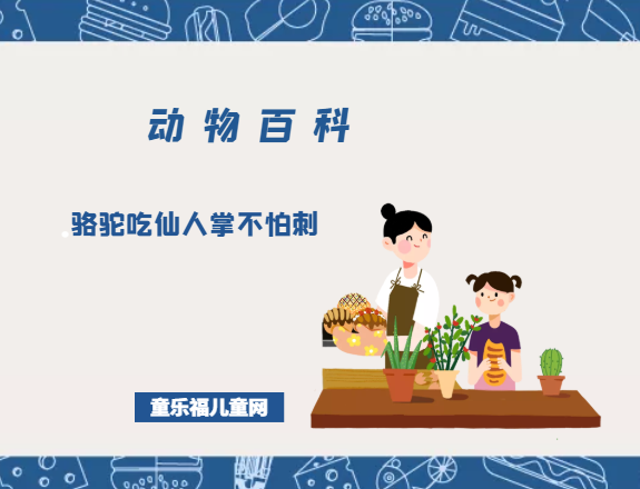 趣味动物问答：骆驼吃仙人掌不怕刺是真的吗?