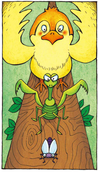 「睡前寓言故事：智慧篇」螳螂脱险