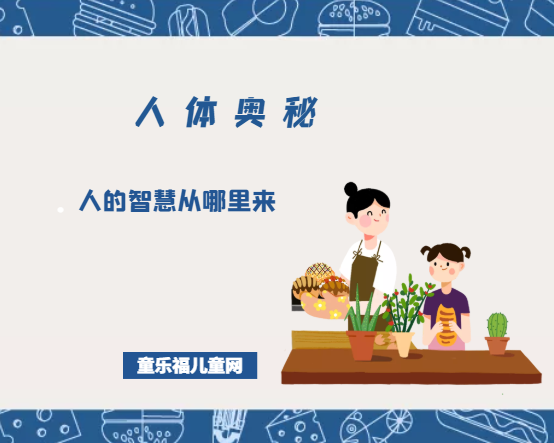 「人体奥秘百科」人的智慧从哪里来插图 「人体奥秘百科」人的智慧从哪里来