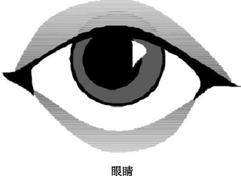 「人体奥秘百科」人能看多远