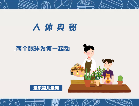「人体奥秘百科」两个眼球为何一起动