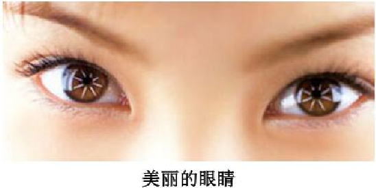 「人体奥秘百科」两个眼球为何一起动