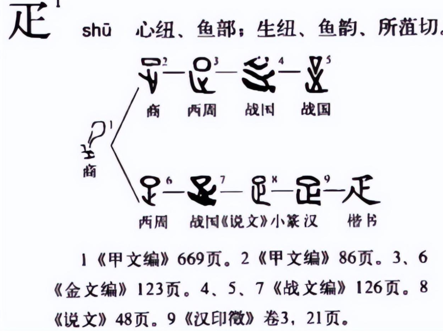 疋怎么读？疋的读音和意思