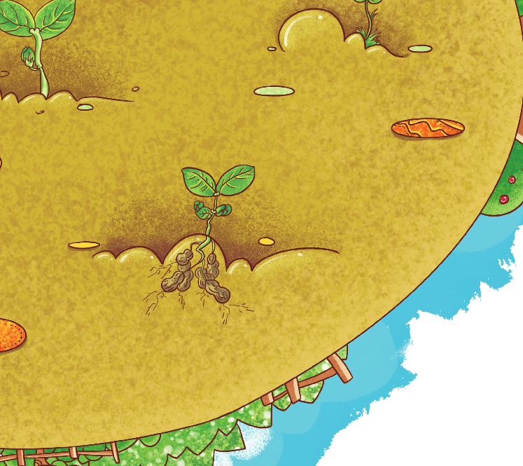 「好习惯童话故事」小猪胖胖种花生