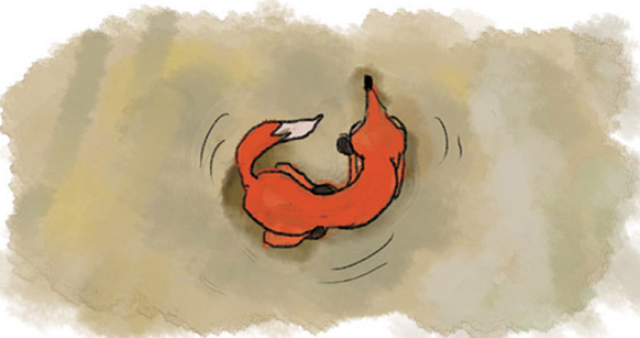 「智慧童话故事」狐狸和小鸡