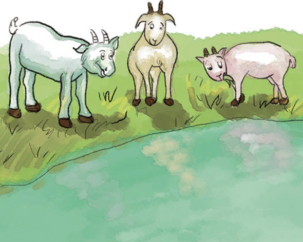 「智慧童话故事」聪明的山羊