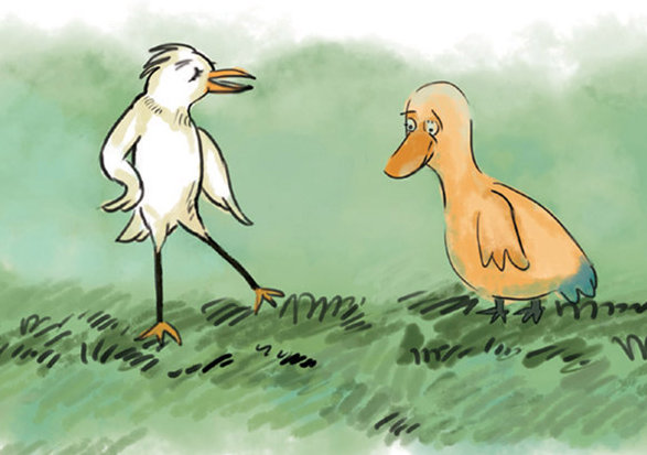 「智慧童话故事」白鹭的脚