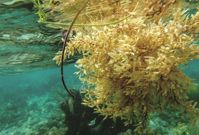 「世界地理知识」百慕大为何被称为“魔鬼三角区”?百慕大三角的秘密插图3 「世界地理知识」百慕大为何被称为“魔鬼三角区”?百慕大三角的秘密