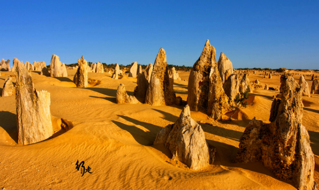 「世界地理知识」尖峰石阵位于哪里?尖峰石阵形成的过程是怎样的插图2 「世界地理知识」尖峰石阵位于哪里?尖峰石阵形成的过程是怎样的