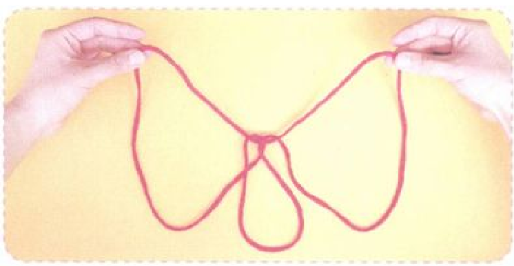 「翻花绳的玩法」蝴蝶插图8 「翻花绳的玩法」蝴蝶