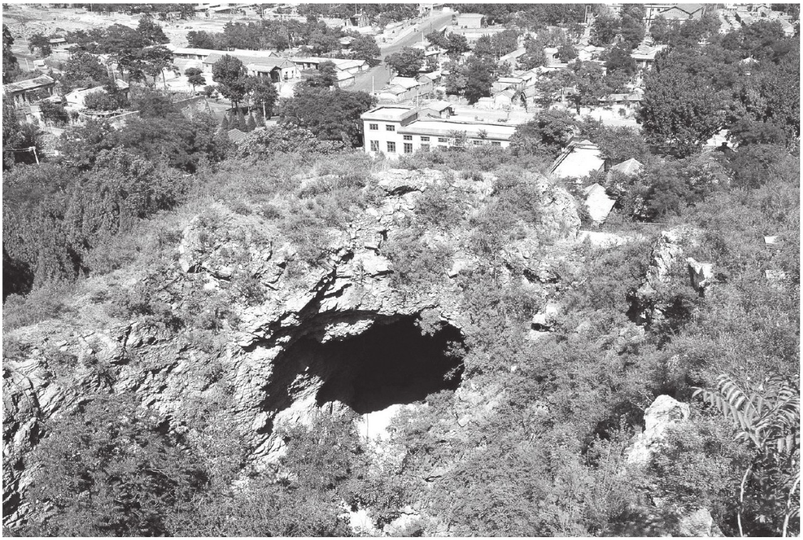 “北京人”是怎么被发现的