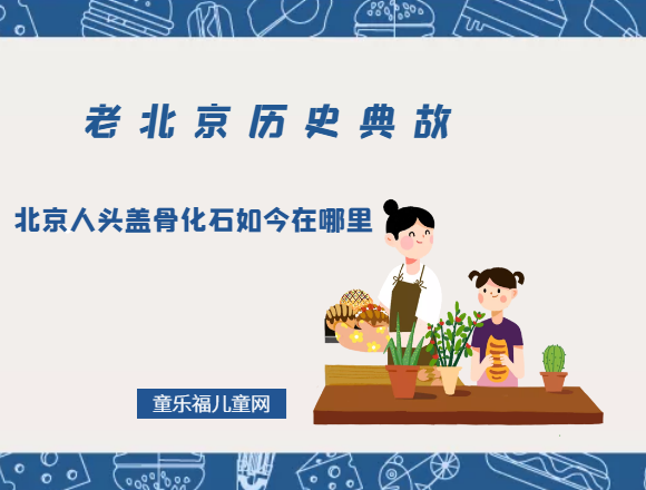 北京人头盖骨化石如今在哪里插图 北京人头盖骨化石如今在哪里