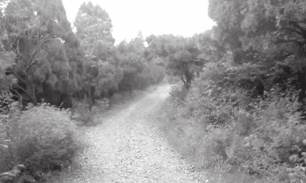 「老北京的地名由来」模式口的由来