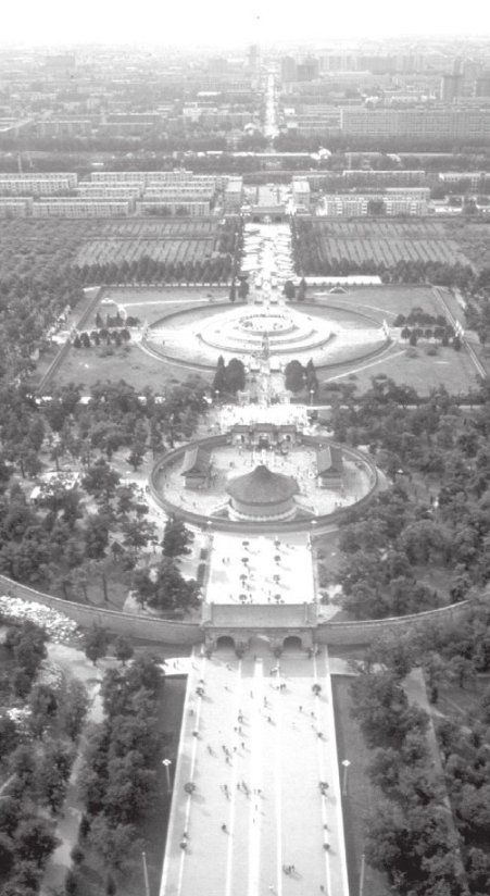 「老北京的名胜古迹」天坛九龙柏的传说