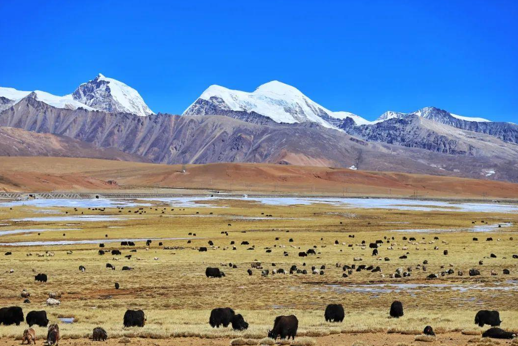 「世界自然地理之最」世界上海拔最高的高原——青藏高原（世界屋脊）