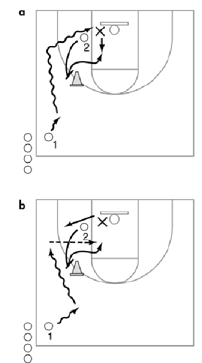 「少儿篮球训练游戏：战术与团队合作」红绿灯
