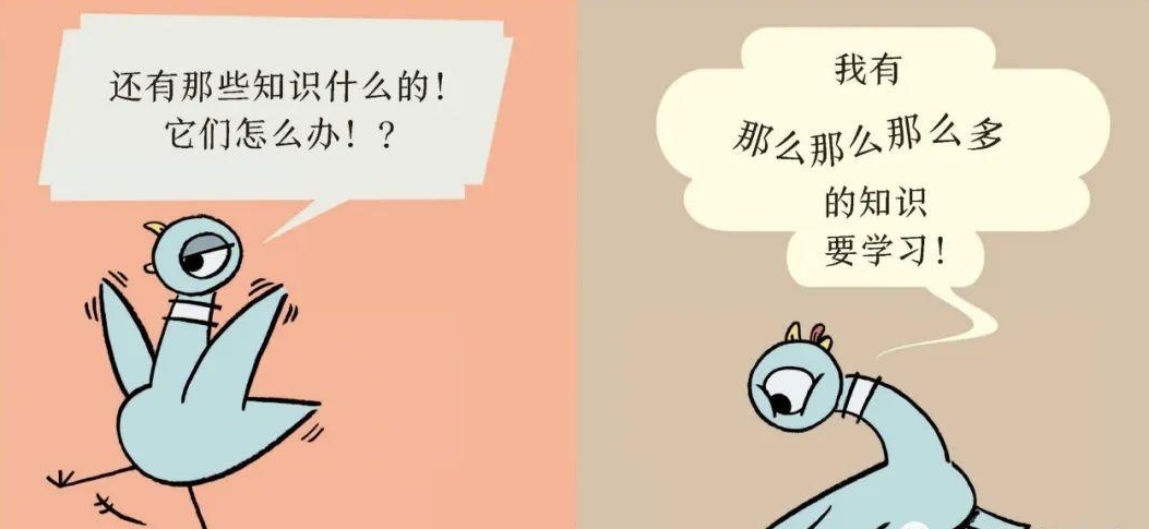 「儿童绘本故事精读」《小鸽子要去上学了》——一本可以和孩子表演的舞台剧插图10 「儿童绘本故事精读」《小鸽子要去上学了》——一本可以和孩子表演的舞台剧