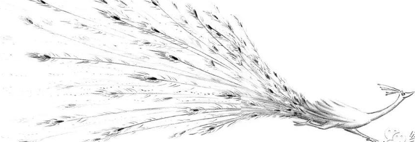 「儿童绘本故事精读」《跑啊!》——简单的快乐插图10 「儿童绘本故事精读」《跑啊!》——简单的快乐