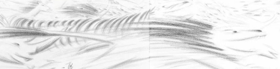 「儿童绘本故事精读」《跑啊!》——简单的快乐插图17 「儿童绘本故事精读」《跑啊!》——简单的快乐